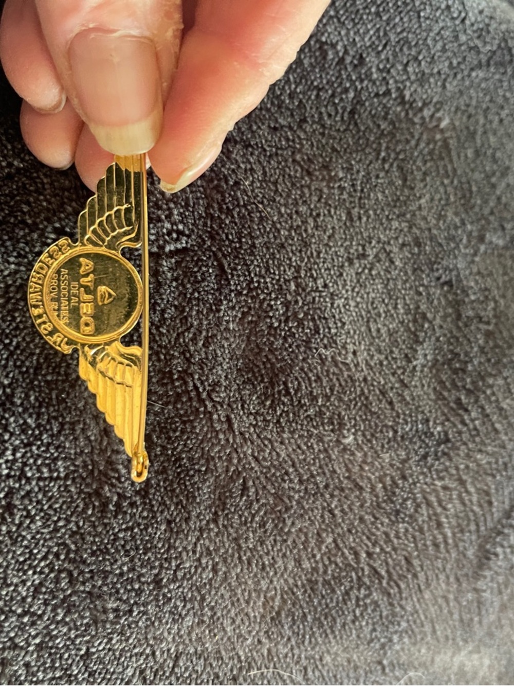 Delta | Other | Delta Gold Wing Lapel Pin | Poshmark